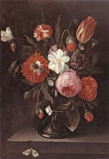 Anonimo — Kessel Jan van I - sec. XVII - Natura morta con vaso di fiori e farfalla — insieme
